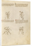 Unarmed Combat by Fiore Furlan dei Liberi da Premariacco