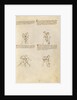 Unarmed Combat by Fiore Furlan dei Liberi da Premariacco