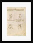 Unarmed Combat by Fiore Furlan dei Liberi da Premariacco
