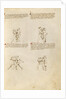 Unarmed Combat by Fiore Furlan dei Liberi da Premariacco