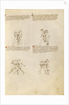 Unarmed Combat by Fiore Furlan dei Liberi da Premariacco