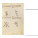 Unarmed Combat by Fiore Furlan dei Liberi da Premariacco