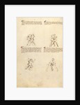 Unarmed Combat by Fiore Furlan dei Liberi da Premariacco