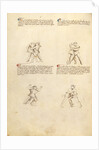 Unarmed Combat by Fiore Furlan dei Liberi da Premariacco