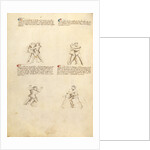 Unarmed Combat by Fiore Furlan dei Liberi da Premariacco