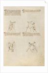 Unarmed Combat by Fiore Furlan dei Liberi da Premariacco