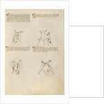 Unarmed Combat by Fiore Furlan dei Liberi da Premariacco