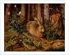 A Hare in the Forest by Hans Hoffmann