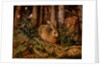 A Hare in the Forest by Hans Hoffmann