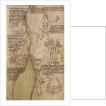 Constellation Diagrams by Anonymous