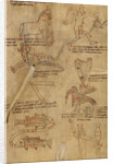 Constellation Diagrams by Anonymous
