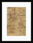 Constellation Diagrams by Anonymous