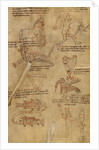 Constellation Diagrams by Anonymous