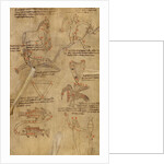 Constellation Diagrams by Anonymous