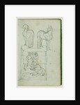 Two standing horses, Man riding a rearing horse by Théodore Géricault