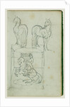 Two standing horses, Man riding a rearing horse by Théodore Géricault