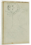 Lion walking, face of lion by Théodore Géricault