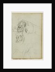 Three lion studies by Théodore Géricault