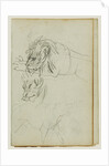 Three lion studies by Théodore Géricault