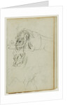 Three lion studies by Théodore Géricault