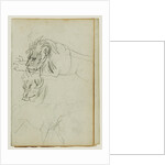 Three lion studies by Théodore Géricault