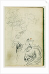 Horse studies by Théodore Géricault