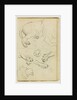 Various studies of lion leg, paws and head by Théodore Géricault