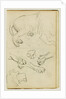Various studies of lion leg, paws and head by Théodore Géricault