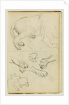 Various studies of lion leg, paws and head by Théodore Géricault