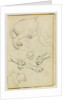 Various studies of lion leg, paws and head by Théodore Géricault