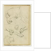 Various studies of lion leg, paws and head by Théodore Géricault