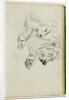 Two lion studies by Théodore Géricault