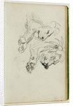 Two lion studies by Théodore Géricault
