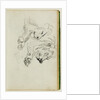 Two lion studies by Théodore Géricault