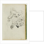 Two lion studies by Théodore Géricault