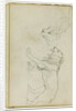 Lion walking, head of a lioness by Théodore Géricault