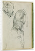 Seated lion, head of lioness by Théodore Géricault