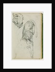 Seated lion, head of lioness by Théodore Géricault