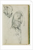 Seated lion, head of lioness by Théodore Géricault
