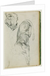 Seated lion, head of lioness by Théodore Géricault