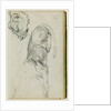 Seated lion, head of lioness by Théodore Géricault
