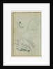 Lion studies by Théodore Géricault
