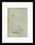 Lion studies by Théodore Géricault