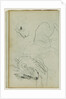 Lion studies by Théodore Géricault