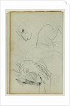 Lion studies by Théodore Géricault