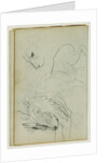 Lion studies by Théodore Géricault