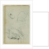 Lion studies by Théodore Géricault