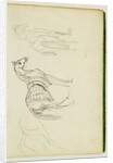 Three horse studies by Théodore Géricault