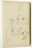 Studies of the head and forelegs of a lioness by Théodore Géricault