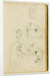 Studies of the head and forelegs of a lioness by Théodore Géricault